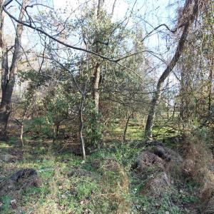 920 lot 6