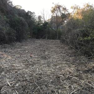 Easement to the property off of Seashore