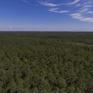 887-Acres-Spencers-Bay-3
