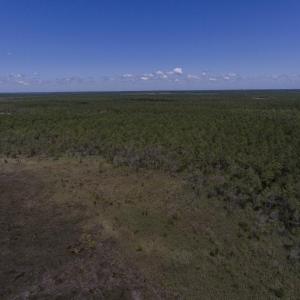 887-Acres-Spencers-Bay-4