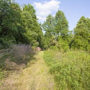 354-Acres-on-Dickens-2