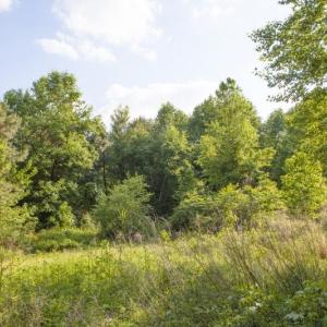 354-Acres-on-Dickens-3