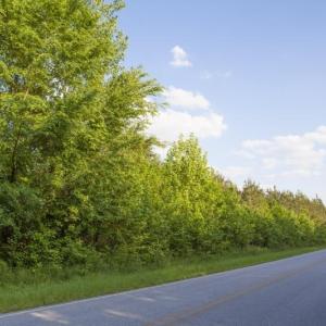 354-Acres-on-Dickens-7