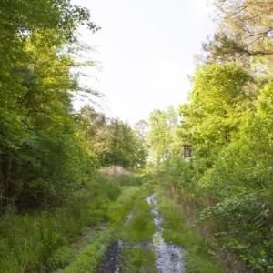 354-Acres-on-Dickens-4