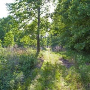 354-Acres-on-Dickens-1