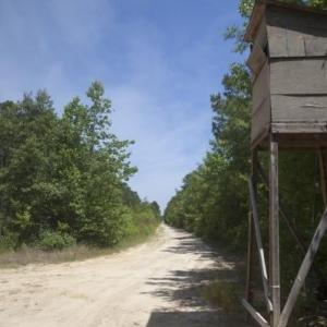 Wilson-County-2