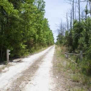 Wilson-County-02
