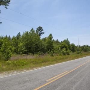 Wilson-County-03