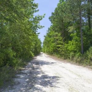 Wilson-County-4