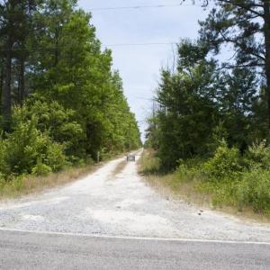 Wilson-County-04