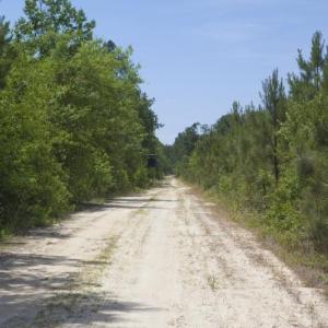 Wilson-County-6