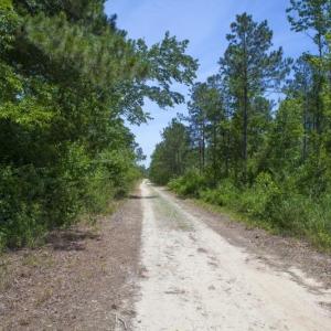 Wilson-County-8