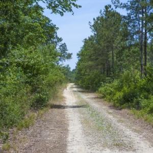 Wilson-County-9