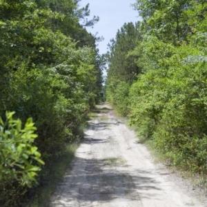 Wilson-County-14