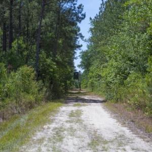 Wilson-County-17
