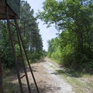 Wilson-County-21