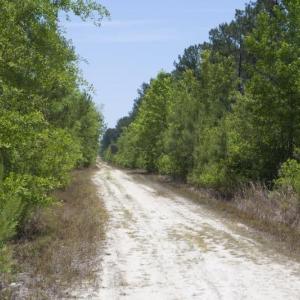 Wilson-County-24