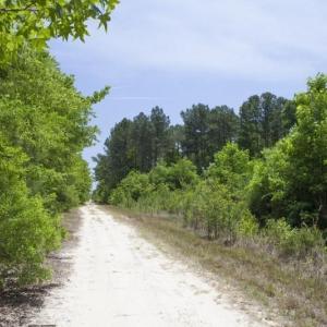 Wilson-County-26
