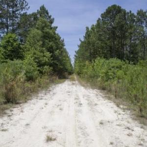 Wilson-County-33