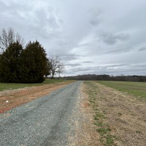 IMG_4058