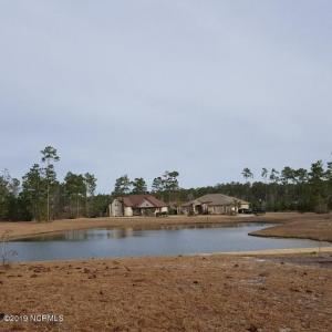 Back pond view 2