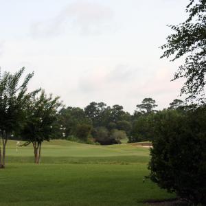 Golf surrounds back area