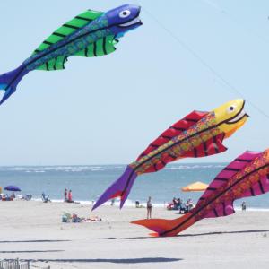 Giant Kites on the Beach