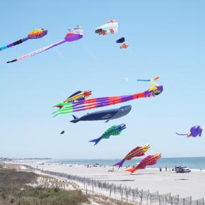 More Kites