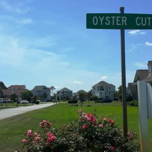 oyster cut
