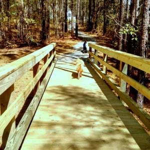 Boardwalk