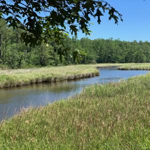 Mill Creek views