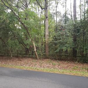 Roadside View
