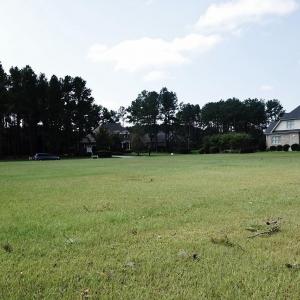 View of Lot from Rear