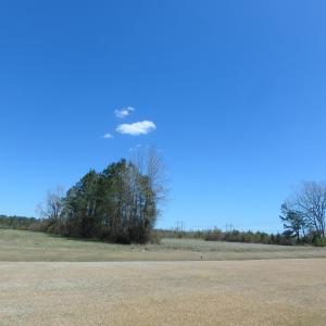 Tract 1 Rocky Run Road