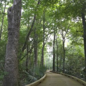 Serene Nature Trails