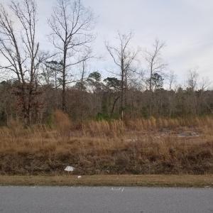 664 Riggs Rd Lot pic 5