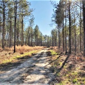 617+/- acres of great hunting land!