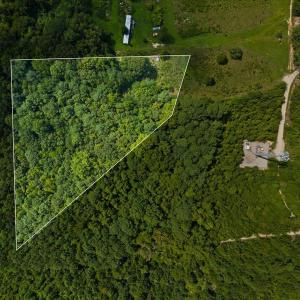 5-DJI_20240815135625_0924_D