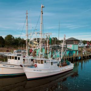 Local Shrimp Boats