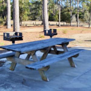 Bluewater Cove  Picnic/Grilling Area