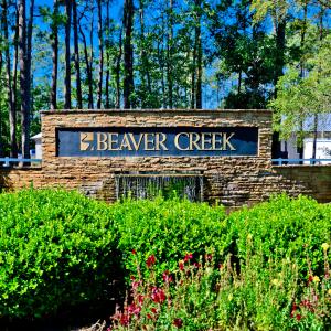 KDP05826-1kahunadrew photographyKahunaDr