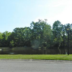 Lot 82 Waterwing pond across street