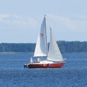Sail Boat on the Neuse