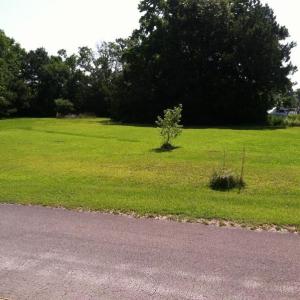 Septic system in place