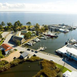 09 Oriental Harbor + Duck Pond in Foregr