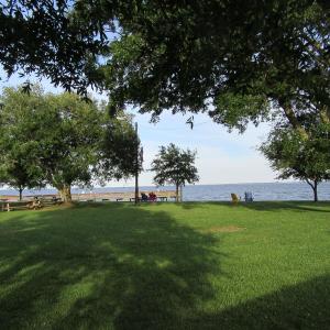 15 Oriental Lou Mac Park IMG_0630