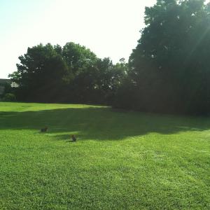 Ready and waiting for your dream home