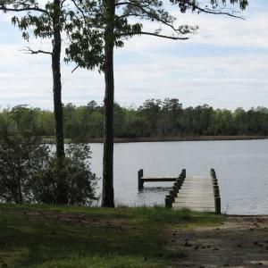Day Dock and Boat Ramp
