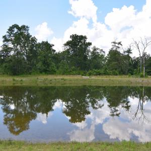 Pond View of Home Site