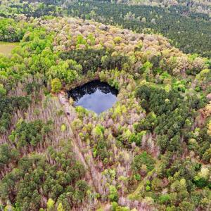 12-web-or-mls-DJI_0778